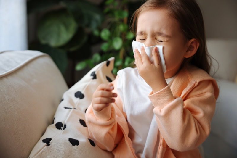 A little girl sneezing.