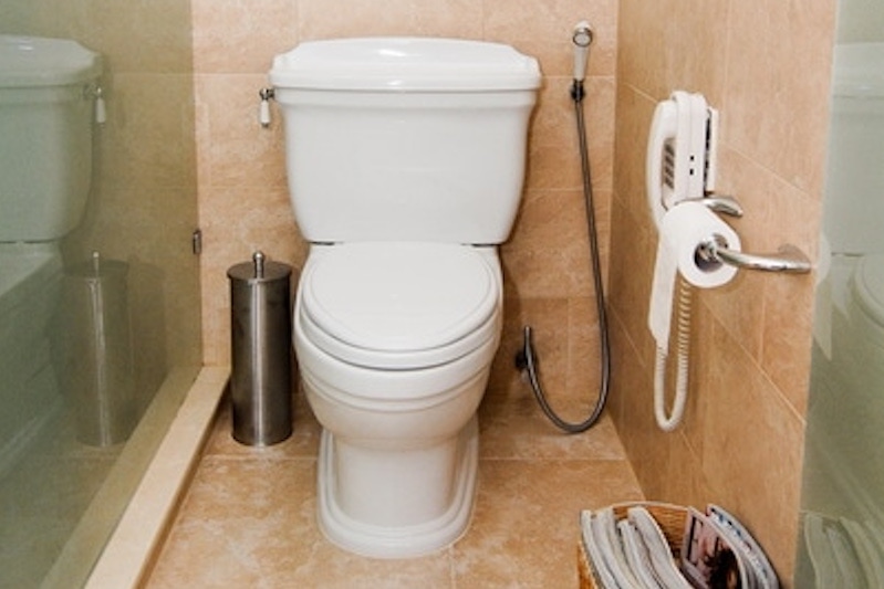 A white toilet with a sprayer and telephone to the left side, Toilet Leaking From Base