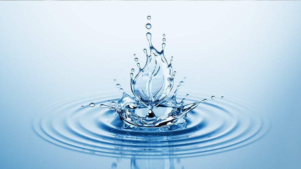 Water Filtration Service.